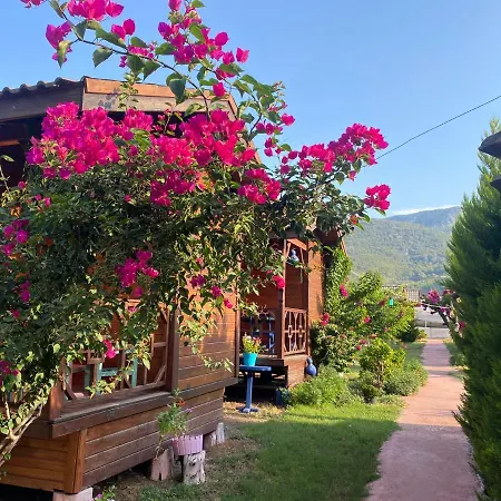 Bed & Breakfast Ada & 4*