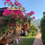 فندق مبيت وإفطار Ada & 4*