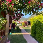 Ada & 4* كاراوز